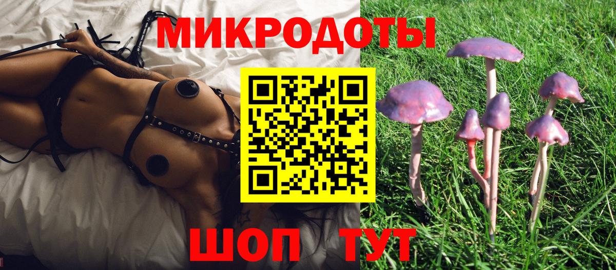 Сызрань  Галлюциногенные грибы прущие грибы  хочу наркоту  Вход с VPN 