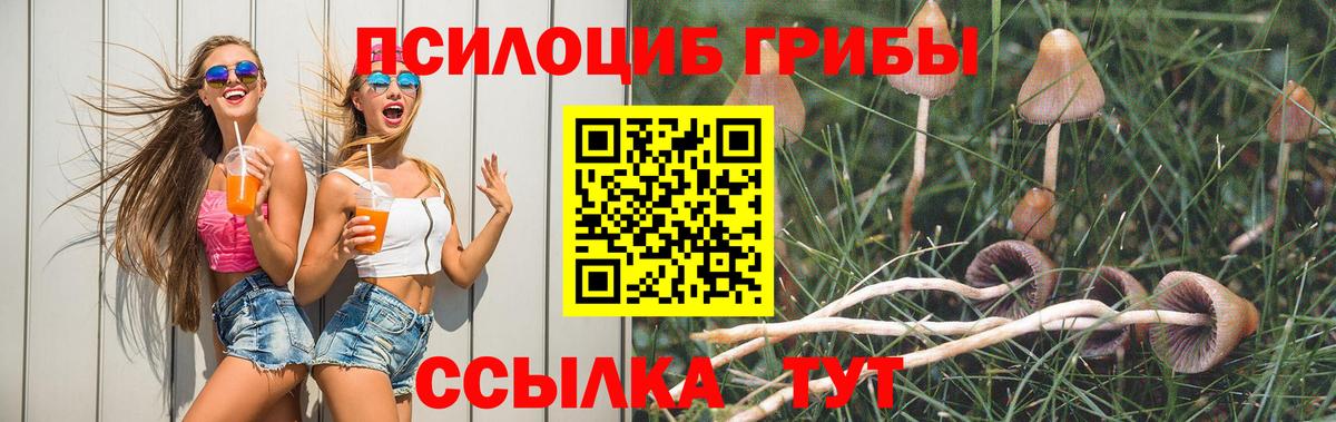 Галлюциногенные грибы Psilocybine cubensis Сызрань