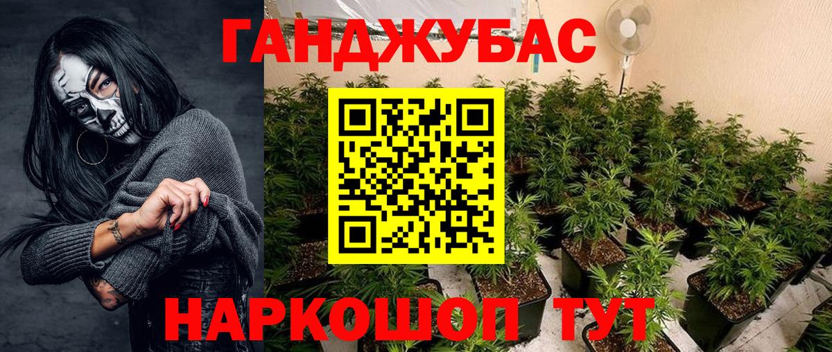 Конопля конопля  Канабис планчик  Сызрань  Конопля гибрид  Вход с VPN  Шишки марихуана Bruce Banner 